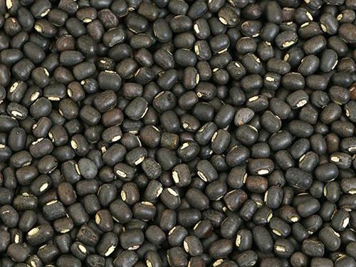 get the best quality urad sabut from farmonics