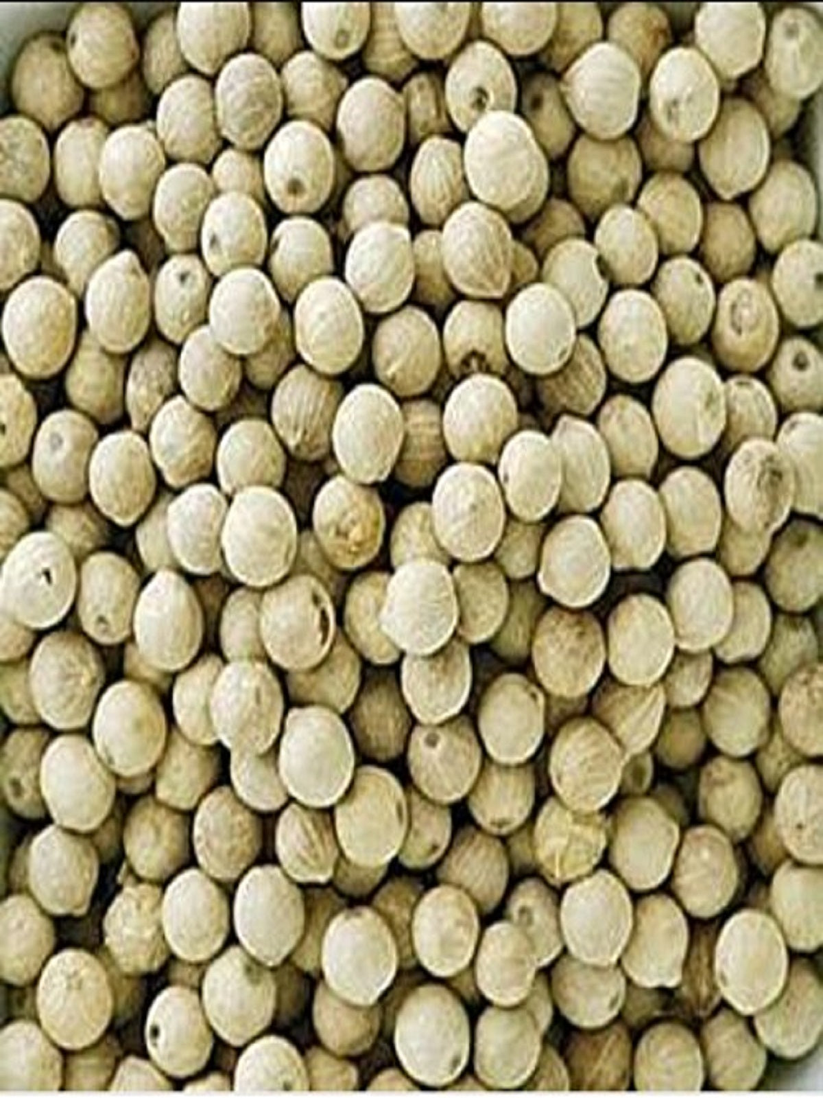 Buy the best quality Safed Mirch /White Pepper online at Farmonics
