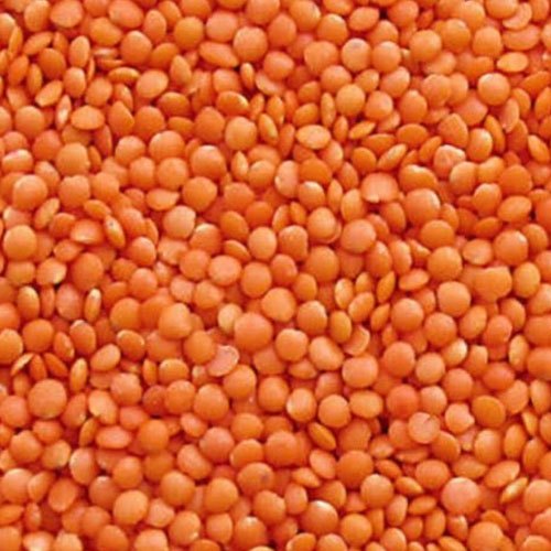 Buy the best quality Indian red lentils online at Farmonics